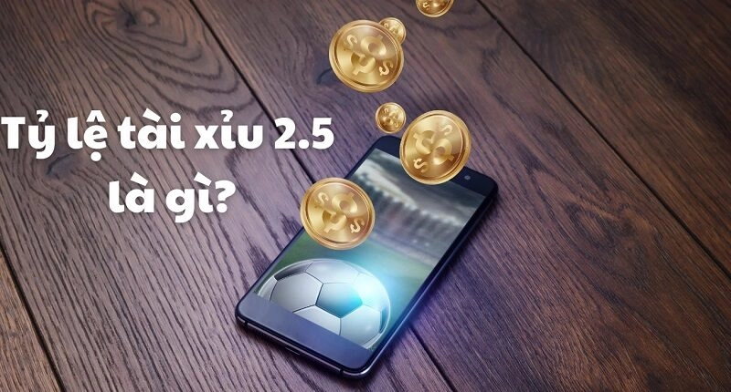 Cách Tính Tỷ Lệ Tài Xỉu Trong Bóng Đá Chính Xác Nhất